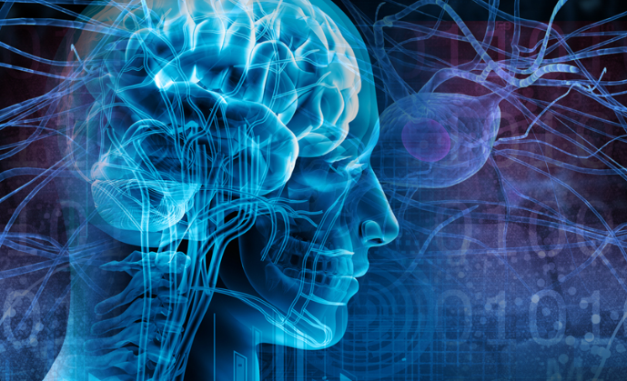 Symptoms of Epilepsy