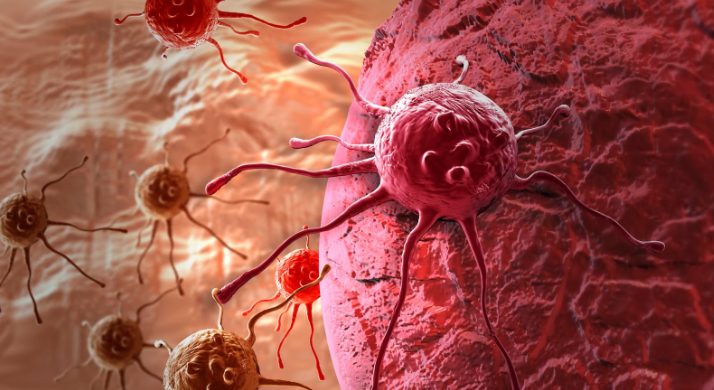 cancer cell